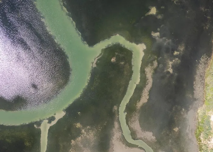 Ionian Memories Yénion